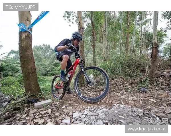 广州极限运动队反击战术深度解析与实战应用探讨